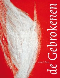 Boekcover De Gebrokenen - Anne Possel