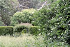 Copyright: Ineke Reuling