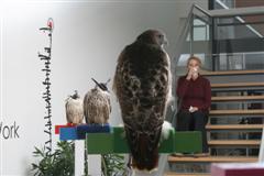 Copyright: Hape Smeele