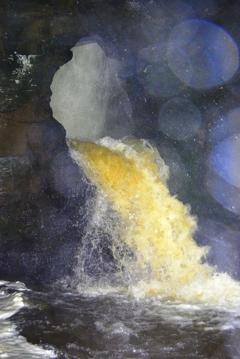 Copyright: L. Wormhoudt