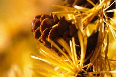 Copyright: martinstevens.nl