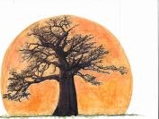 Cpopyright: Marjan van Duin