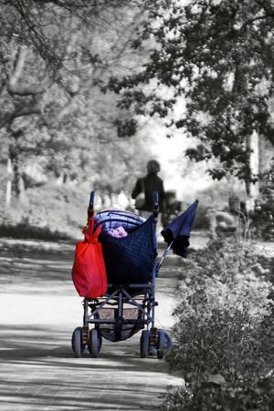 Klaus Friese op fotowebsite Flickr