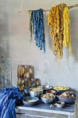 Hans Stolp - foto: Hape Smeele