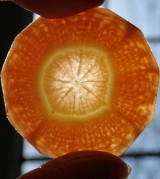 © Robbie Sproule CC BY 2.0