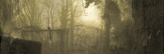 Zoë Joncheere kwam in beweging na het horen van Corsicaanse mannenstemmen – één stem in het bijzonder raakte haar zo dat ze naar Corsica afreisde in de hoop de zanger te ontmoeten | Frida Derksema ervoer de betovering van een tuin, maar vreemdgenoeg ook een gevoel van ontheemding. Verslag van een poëtische ontdekkingstocht die haar in contact bracht met een reeks mensen – gewend hun intuïtie te volgen en waar te nemen via hun gevoel. Een winternummer vol ontmoetingen | © Annemarie van Buuren | plaatwerkfotografie.nl